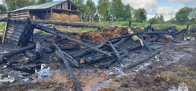 В Ярославской области за день произошли два пожара на сельхозобъектах_301484