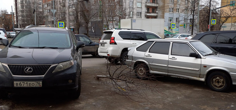 Ярославцы пожаловались на автомобили, припаркованные на тротуарах в центре города_291020