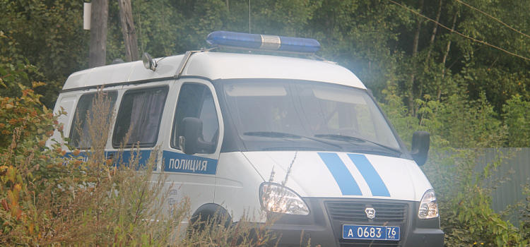 В Дзержинском районе Ярославля пьяный мужчина ворвался в кафе с молотком