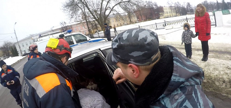 Лаяла и не пускала в авто: бездомная собака напала на женщину с ребёнком