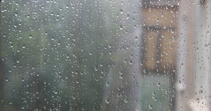 День знаний в куртках и под зонтом: синоптики предупредили о мощном похолодании