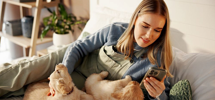 ИИ-ассистент поможет ярославской молодёжи поддержать ментальное здоровье_310801