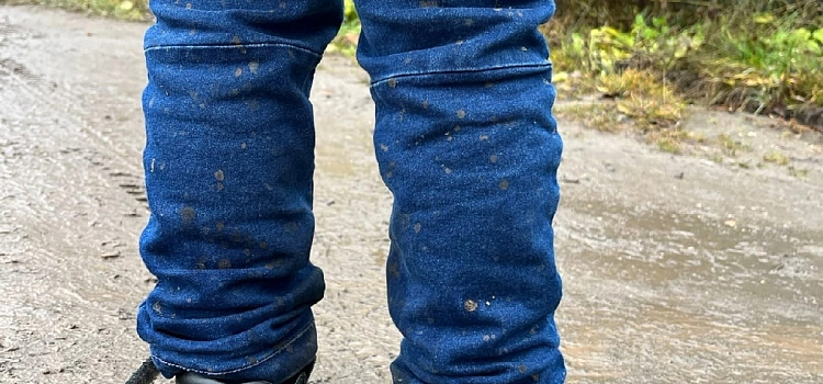 Жители Ярославля просят отремонтировать дорогу к детскому саду во Фрунзенском районе_225829