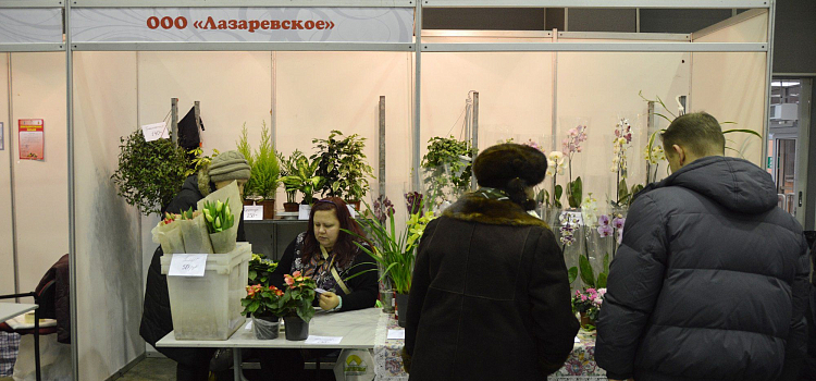 Продукция ярославской области завоевывает рынок_24155