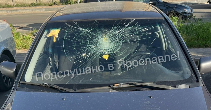 Кидали камни и бегали по машинам: в Ярославле вандалы устроили погром во дворе