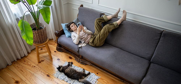 ИИ-ассистент поможет ярославской молодёжи поддержать ментальное здоровье_310800