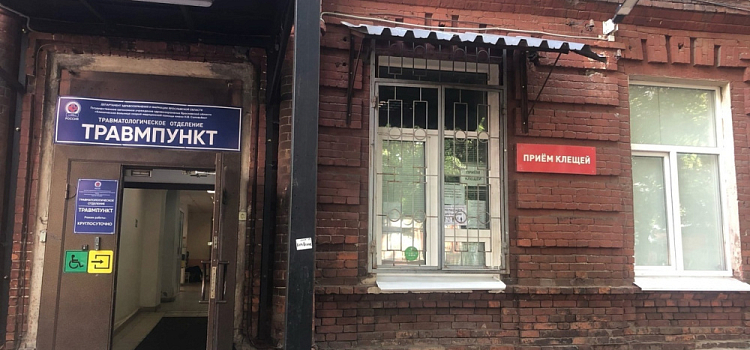 За неделю ярославцы сдали на исследование более 300 клещей