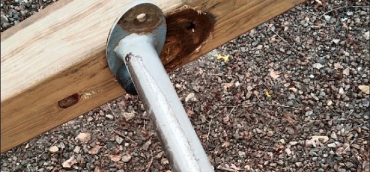 Калечат детей и животных: ярославцы жалуются на опасные парки_269496