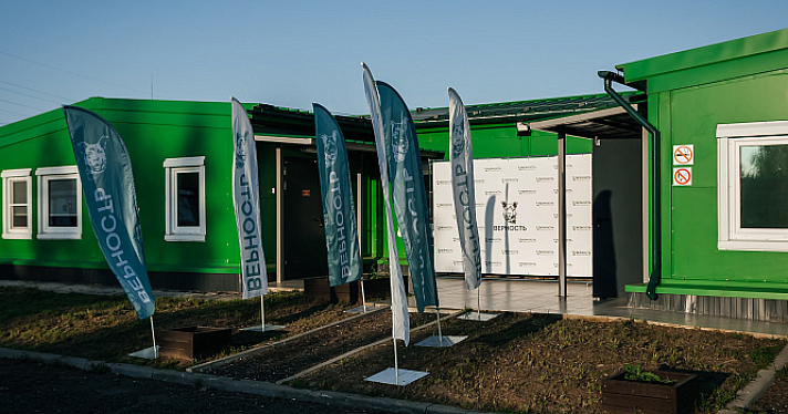 Зоозащитная организация «Верность» включена в реестр благотворительных организаций Ярославской области