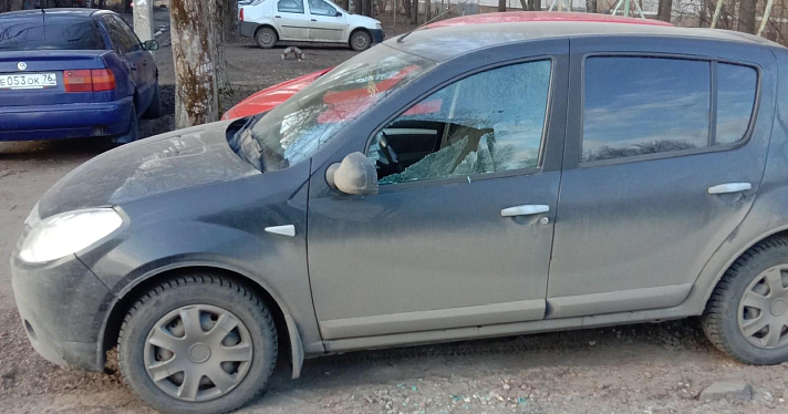 В Ярославле вандалы обстреляли маршрутку с пассажирами_163078