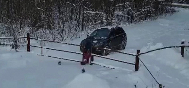 «У них есть шанс»: в Ярославской области мужчина выбросил на трассу трёх кошек