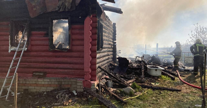 Потерял сознание, спасая внука: возбуждено уголовное дело после гибели дачников при пожаре под Ростовом