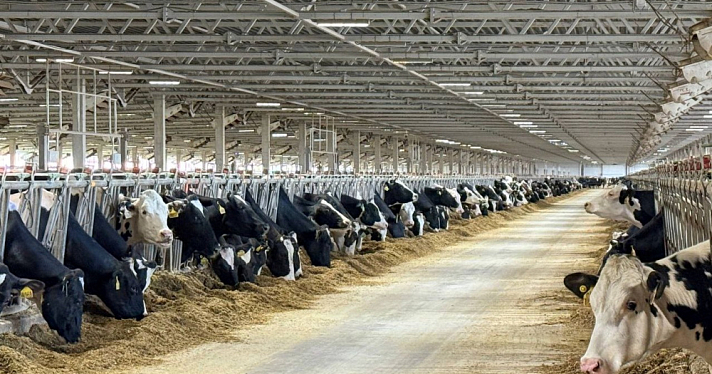 Тутаевского фермера оштрафовали за отсутствие забора