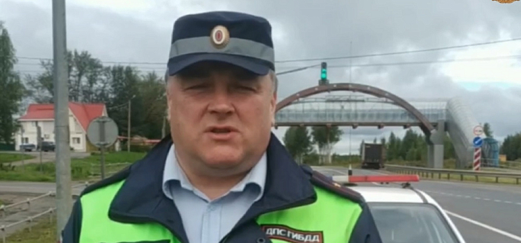 В ночи внезапно выбежала на дорогу: на трассе в Ярославской области погибла девушка