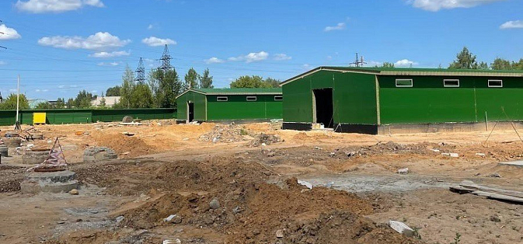 Стало известно, когда в Ярославле откроют новый приют для бездомных животных