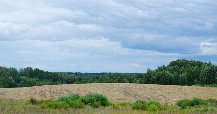 В Ярославской области сокращается процент неосвоенных сельскохозяйственных угодий
