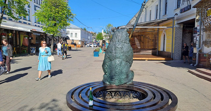 Медведь остался в одиночестве: на улице Кирова в Ярославле продолжают вырубать деревья