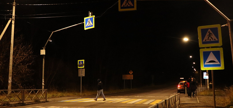 В Ярославской области до конца года оборудуют более 20 новых проекционных пешеходов