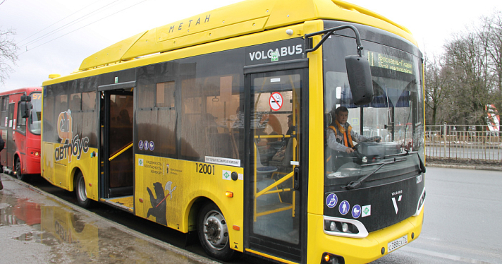 В Ярославле планируют пустить два новых автобуса
