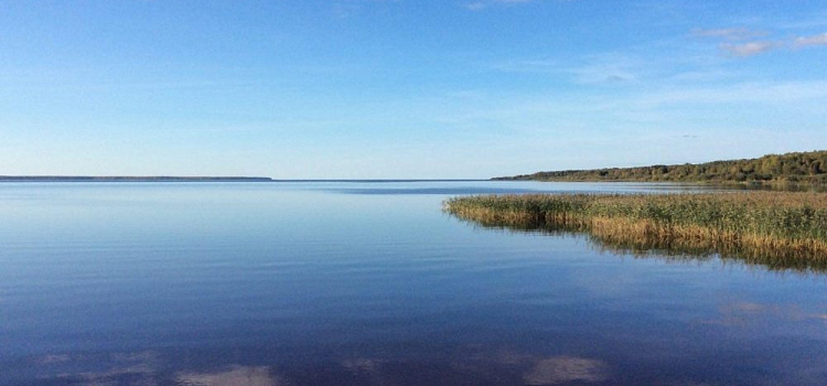 «Им все позволено». Почему на Рыбинском водохранилище нельзя строить ЦБК? Разбор