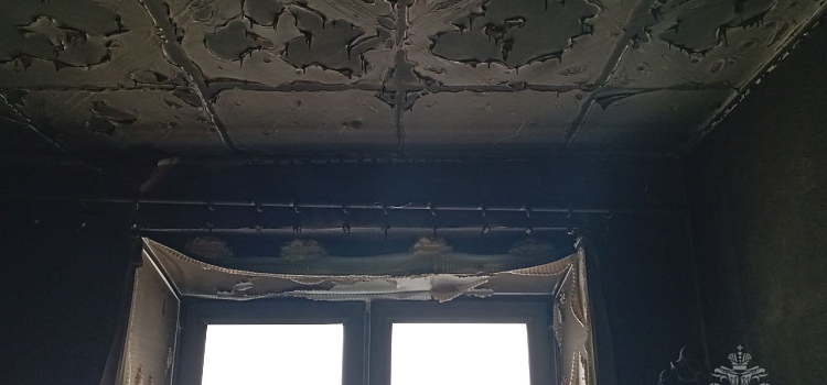В Дзержинском районе Ярославля мужчина пострадал из-за неисправной стиральной машинки_295158