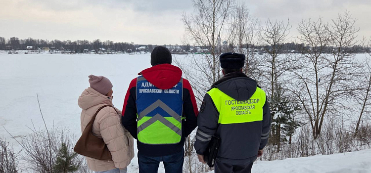 «Седой паромщик»: в Павловской роще задержали мужчину, незаконно катавшего ярославцев по льду Волги