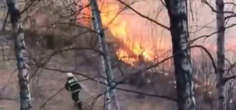 Языки пламени вот-вот подступят к домам: пал травы в Ярославле