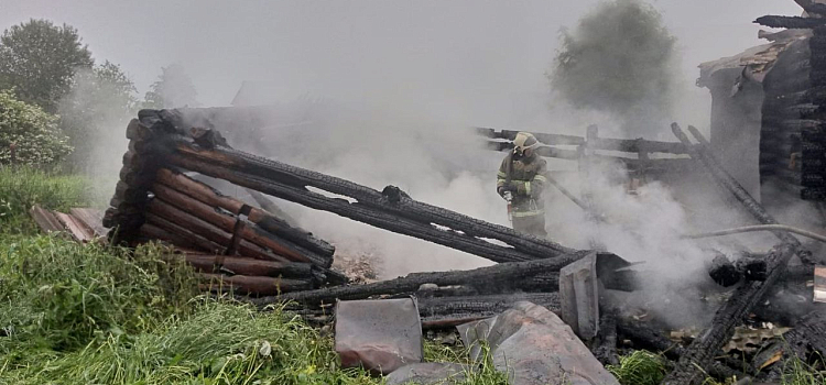 В селе Ярославской области при пожаре погибли женщина и двое детей_274641