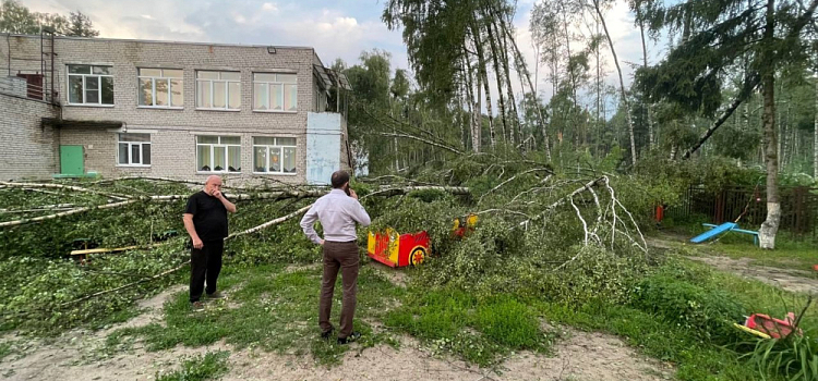 Под Ярославлем из-за шторма закрыли восемь детских садов
