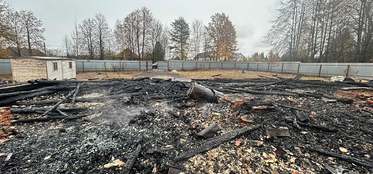 Погибли 150 птиц: в Ярославской области сгорел птичник_305586
