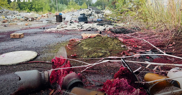 «Масштабы экологического ущерба сложно представить»: под Ярославлем обнаружили свалку токсичных отходов_220743