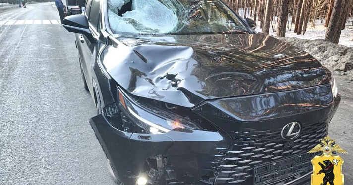 В Ярославской области иномарка сбила пенсионера-велосипедиста