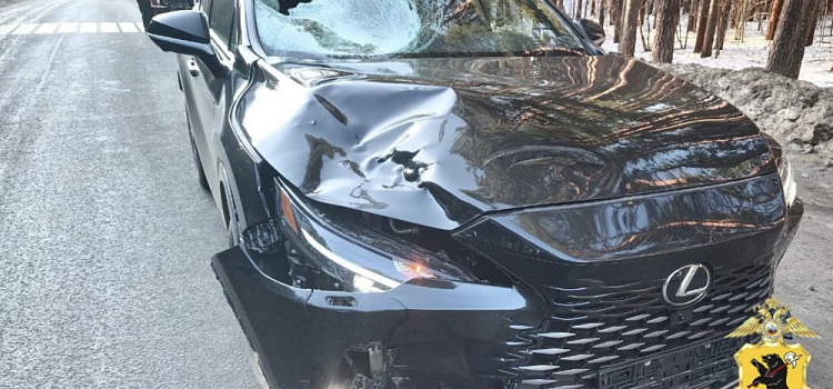 В Ярославской области иномарка сбила пенсионера-велосипедиста