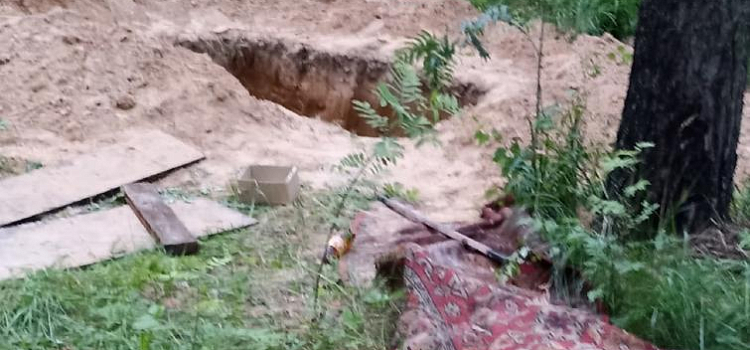 Выкопали яму для отходов: под Ярославлем в сосновом бору устроили свалку_243730