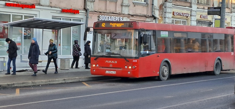 В Ярославской области до конца года создадут организацию, отвечающую за ловлю безбилетников в транспорте