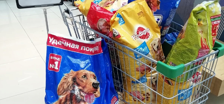 Для братьев меньших: в Ярославле пройдет благотворительная книжная ярмарка «Читай в поддержку животных»_218745