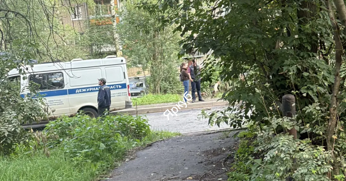 Аварийных деревьев здесь 38: в Ярославле во дворе жилого дома погиб молодой человек