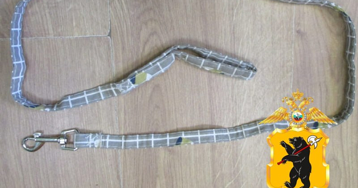 В Данилове во время ссоры мужчина хотел задушить собачьим поводком дочь-подростка