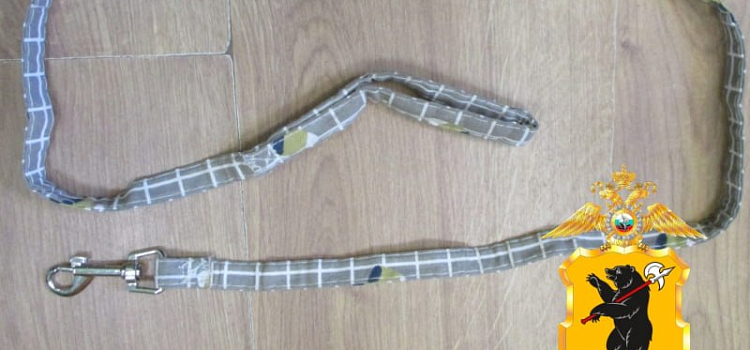 В Данилове во время ссоры мужчина хотел задушить собачьим поводком дочь-подростка