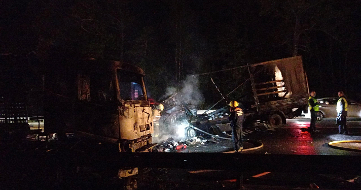 В Ярославской области на М-8 после столкновения с лосем сгорели два грузовика_249892