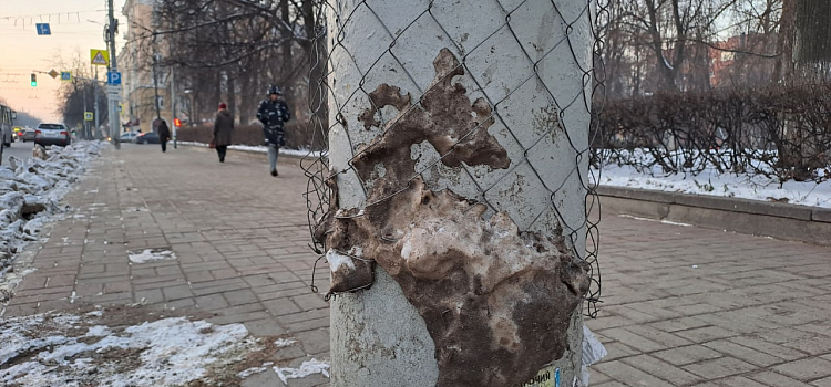 Столбы в клеточку: в Ярославле борются с рекламой на столбах и дорожных знаках, но этот метод плох_228618