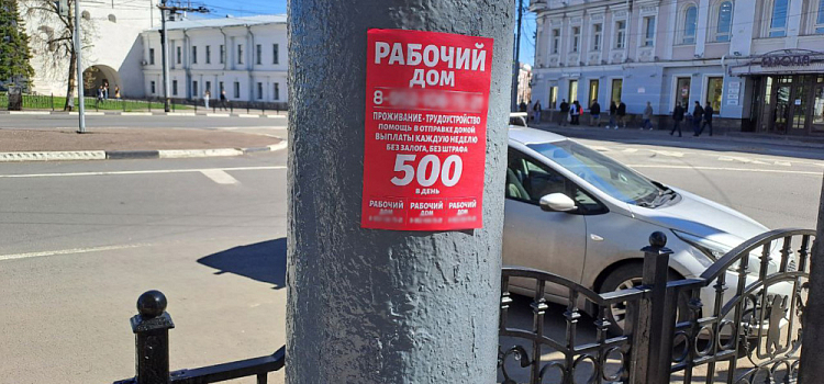 В Ярославле расклейщики объявлений снова испортили листовками отремонтированные столбы