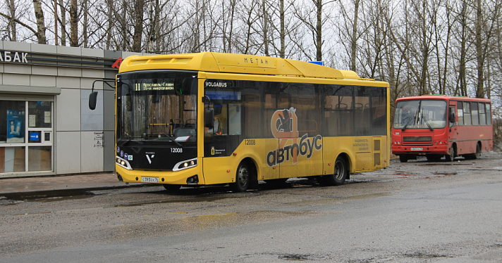 Прокуратура организовала масштабную проверку работы ярославских автобусов