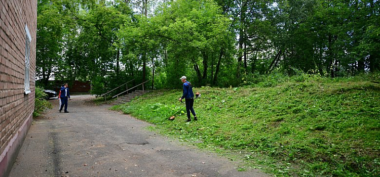 В Селикатном поселке скосили траву через пару дней после жалобы в социальных сетях