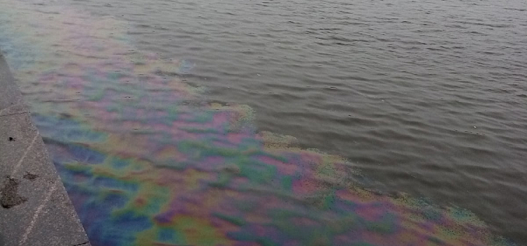 В Ярославле у берегов Волги появилось нефтяное пятно_221854