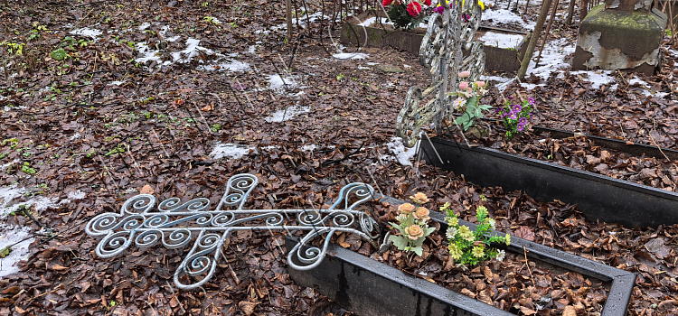 На Донском кладбище Ярославля повредили старинные надгробия_307767