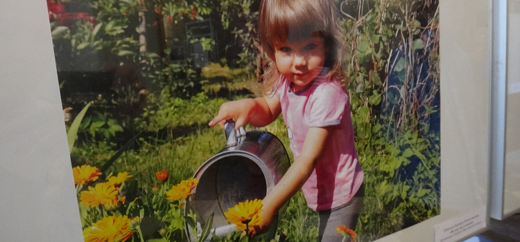 В музее-заповеднике открылась выставка «В объективе — Семья»_64939