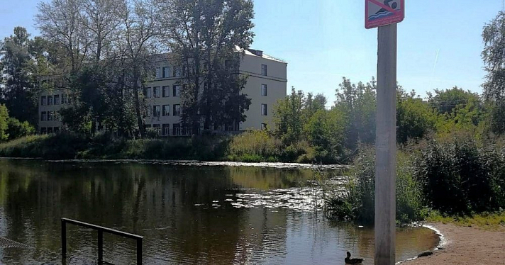 Ярославцам запретили купаться в прудах на территории Петропавловского парка
