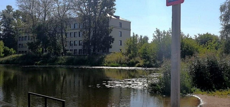 Ярославцам запретили купаться в прудах на территории Петропавловского парка