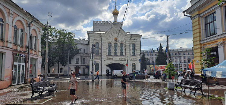 Юные ярославцы устроили «заплыв» на центральной улице_275157